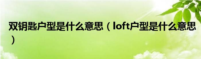 双钥匙户型是什么意思（loft户型是什么意思）