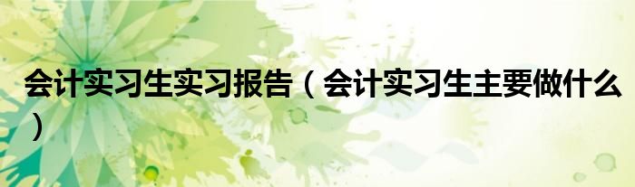 会计实习生实习报告（会计实习生主要做什么）