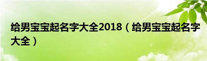 给男宝宝起名字大全2018（给男宝宝起名字大全）