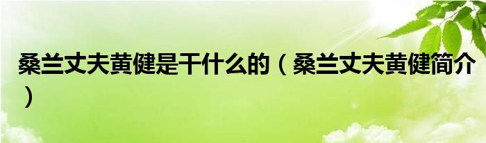 桑兰丈夫黄健是干什么的（桑兰丈夫黄健简介）