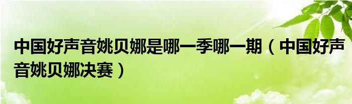 中国好声音姚贝娜是哪一季哪一期（中国好声音姚贝娜决赛）