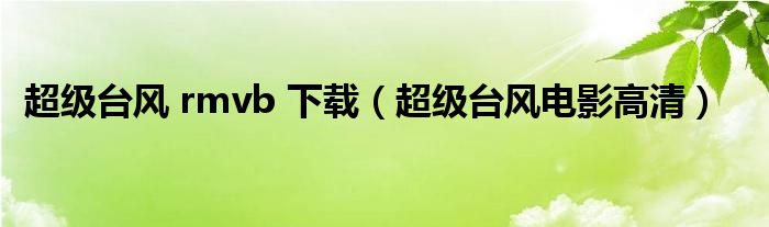 超级台风 rmvb 下载（超级台风电影高清）