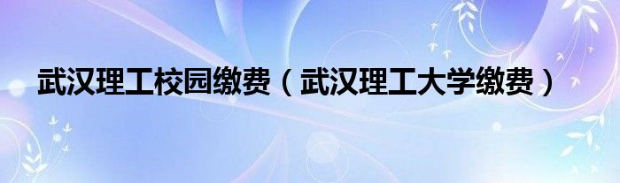 武汉理工校园缴费（武汉理工大学缴费）