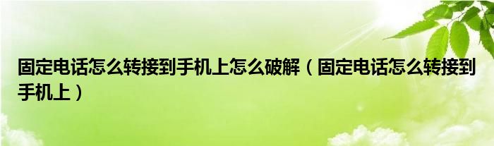 固定电话怎么转接到手机上怎么破解（固定电话怎么转接到手机上）