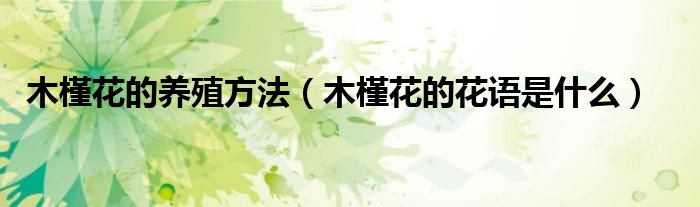 木槿花的养殖方法（木槿花的花语是什么）