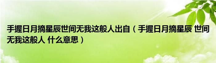 手握日月摘星辰世间无我这般人出自（手握日月摘星辰 世间无我这般人 什么意思）