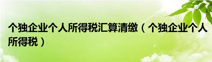 个独企业个人所得税汇算清缴（个独企业个人所得税）