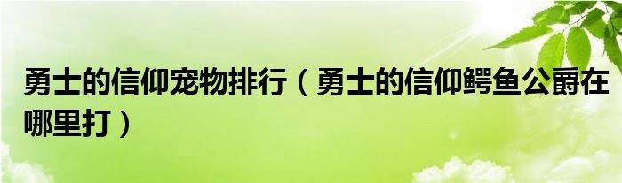 勇士的信仰宠物排行（勇士的信仰鳄鱼公爵在哪里打）