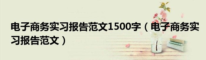 电子商务实习报告范文1500字（电子商务实习报告范文）