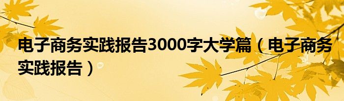 电子商务实践报告3000字大学篇（电子商务实践报告）