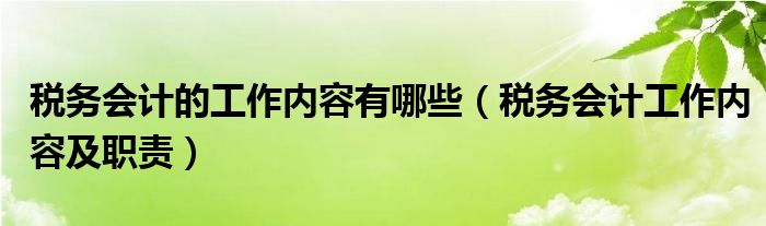 税务会计的工作内容有哪些（税务会计工作内容及职责）