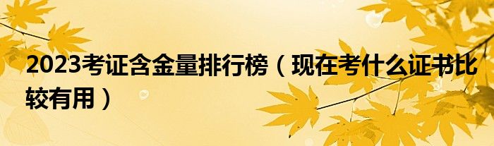 2023考证含金量排行榜（现在考什么证书比较有用）