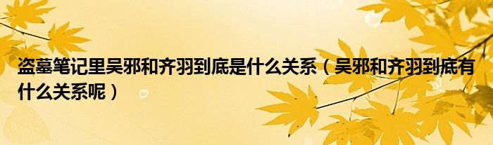 盗墓笔记里吴邪和齐羽到底是什么关系（吴邪和齐羽到底有什么关系呢）