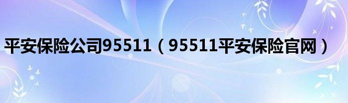 平安保险公司95511（95511平安保险官网）