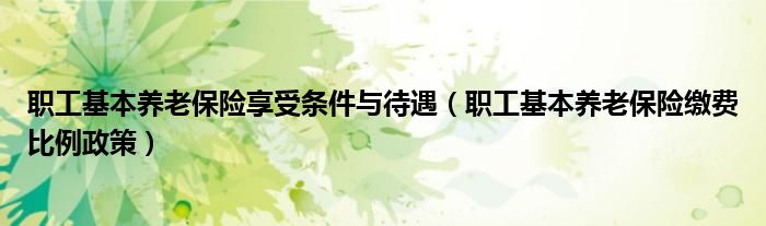 职工基本养老保险享受条件与待遇（职工基本养老保险缴费比例政策）