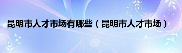 昆明市人才市场有哪些（昆明市人才市场）