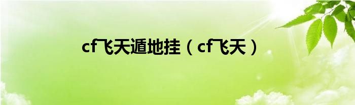 cf飞天遁地挂（cf飞天）