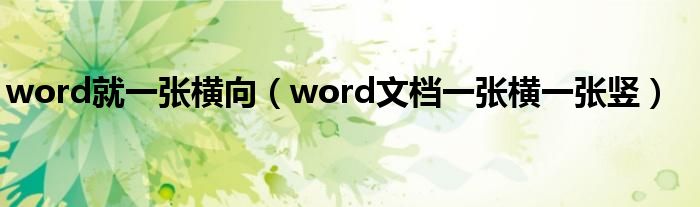 word就一张横向（word文档一张横一张竖）