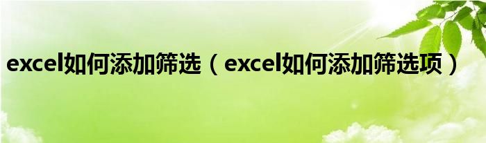 excel如何添加筛选（excel如何添加筛选项）