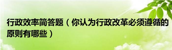 行政效率简答题（你认为行政改革必须遵循的原则有哪些）