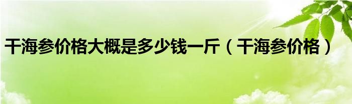 干海参价格大概是多少钱一斤（干海参价格）