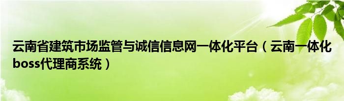 云南省建筑市场监管与诚信信息网一体化平台（云南一体化boss代理商系统）