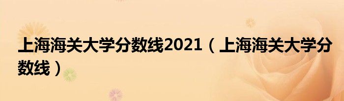 上海海关大学分数线2021（上海海关大学分数线）