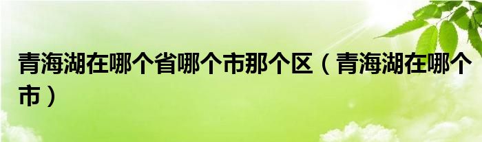 青海湖在哪个省哪个市那个区（青海湖在哪个市）