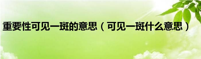 重要性可见一斑的意思（可见一斑什么意思）