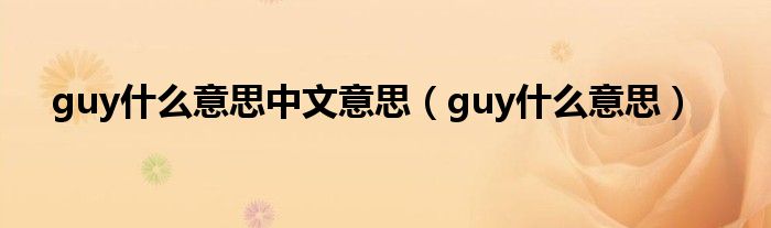 guy什么意思中文意思（guy什么意思）