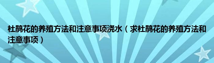 杜鹃花的养殖方法和注意事项浇水（求杜鹃花的养殖方法和注意事项）