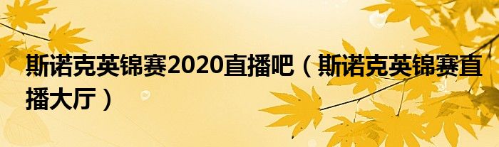 斯诺克英锦赛2020直播吧（斯诺克英锦赛直播大厅）