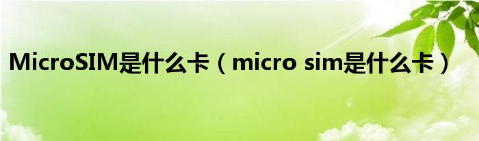 MicroSIM是什么卡（micro sim是什么卡）