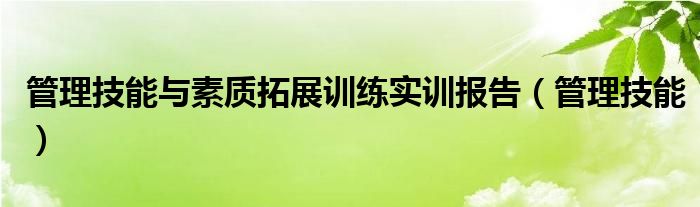 管理技能与素质拓展训练实训报告（管理技能）