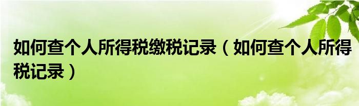 如何查个人所得税缴税记录（如何查个人所得税记录）