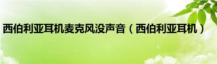 西伯利亚耳机麦克风没声音（西伯利亚耳机）