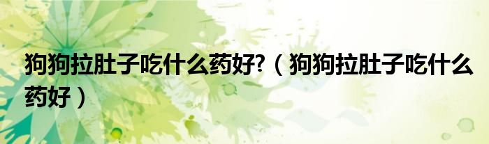 狗狗拉肚子吃什么药好?（狗狗拉肚子吃什么药好）