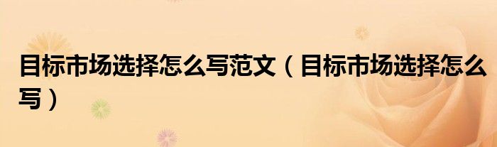 目标市场选择怎么写范文（目标市场选择怎么写）