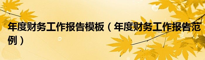 年度财务工作报告模板（年度财务工作报告范例）