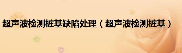 超声波检测桩基缺陷处理（超声波检测桩基）