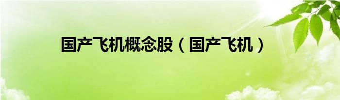 国产飞机概念股（国产飞机）