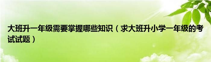 大班升一年级需要掌握哪些知识（求大班升小学一年级的考试试题）