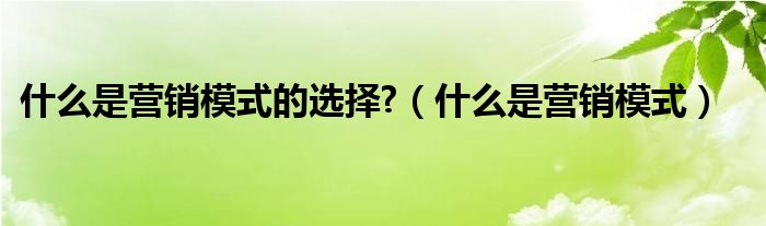 什么是营销模式的选择?（什么是营销模式）