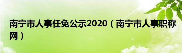 南宁市人事任免公示2020（南宁市人事职称网）