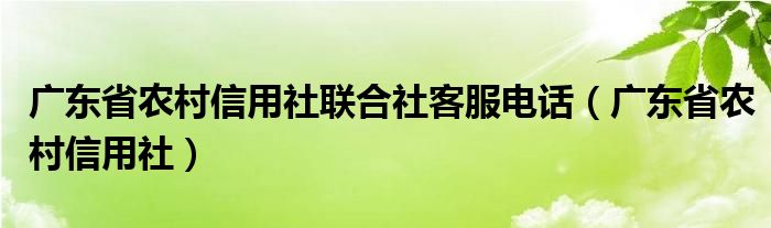 广东省农村信用社联合社客服电话（广东省农村信用社）