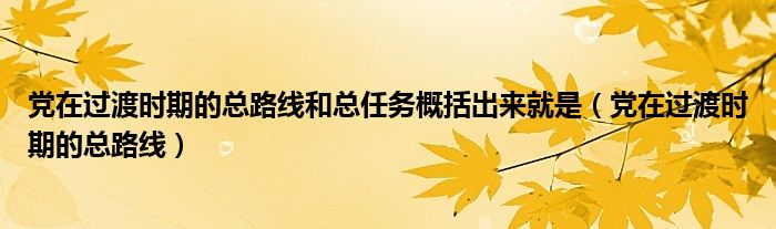 党在过渡时期的总路线和总任务概括出来就是（党在过渡时期的总路线）