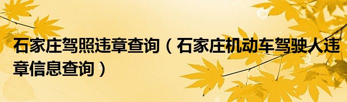 石家庄驾照违章查询（石家庄机动车驾驶人违章信息查询）