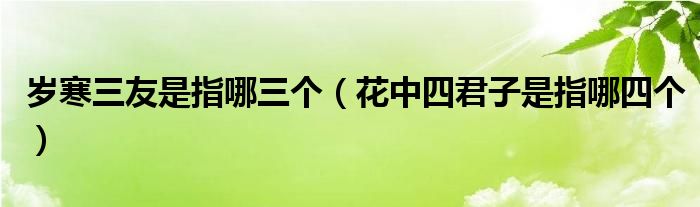 岁寒三友是指哪三个（花中四君子是指哪四个）