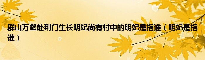 群山万壑赴荆门生长明妃尚有村中的明妃是指谁（明妃是指谁）