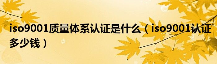 iso9001质量体系认证是什么（iso9001认证多少钱）